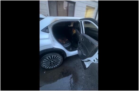 Սա պարզապես հրկիզված մեքենա չէ. սա հրկիզված ժողովրդավարություն է